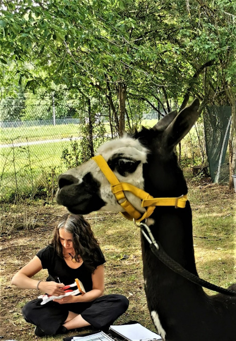 Kinesiologische Austestung von Spirit